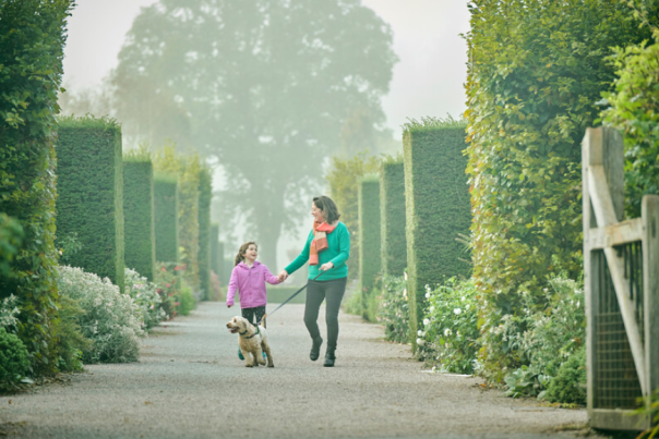 Three days of ‘Paws on Paths’ access to be trialled at RHS Garden Rosemoor