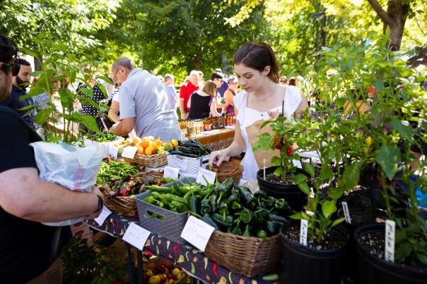 A young woman is surrounded by greenery and other people and fresh produce as she picks peppers at an outdoor farmers' market.