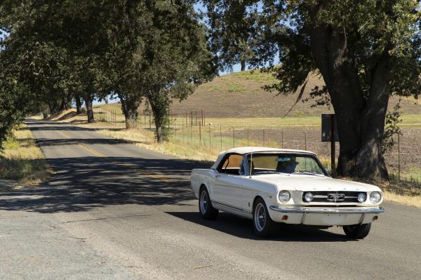 Mustang California Road Trip