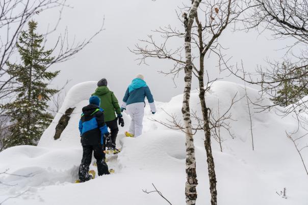 Family snowshoeing