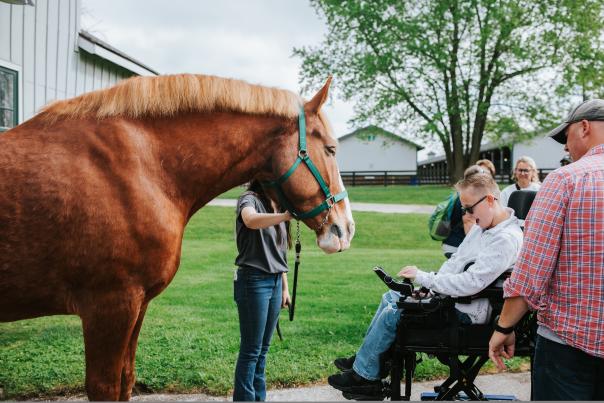 Boy in motorized wheelchair smiles in front of horse.