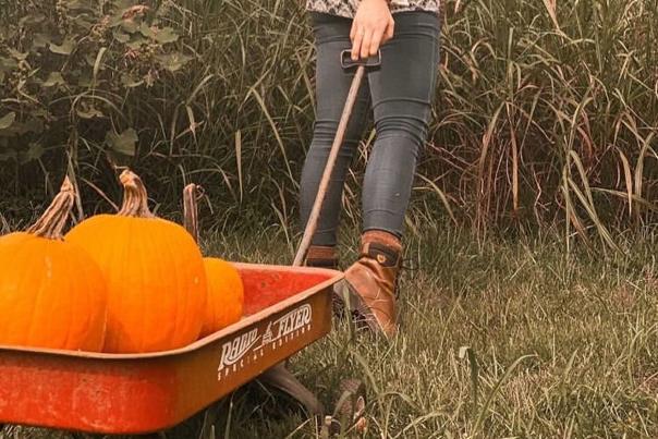 A lady pulling a wagon full of pumpkins in the field.