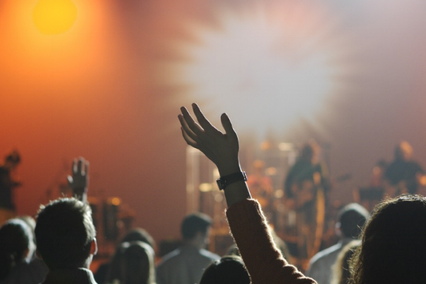 Crowd at Concert