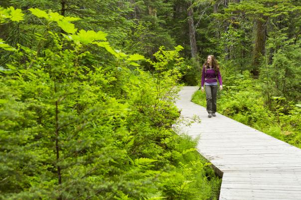 Anchorage hiking trails include Winner Creek in Girdwood