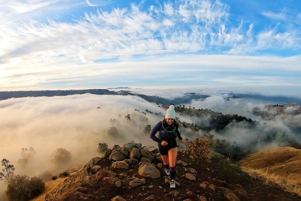 Pin Cushion in the Winter