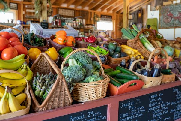Visit Seasonal Farmers Markets Located in the Pocono Mountains