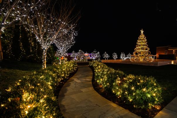 Winding pathway at night with trees and bushed covered in holiday lights