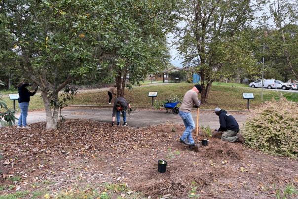 Park Stewardship, St. Stephen's Park October 2026