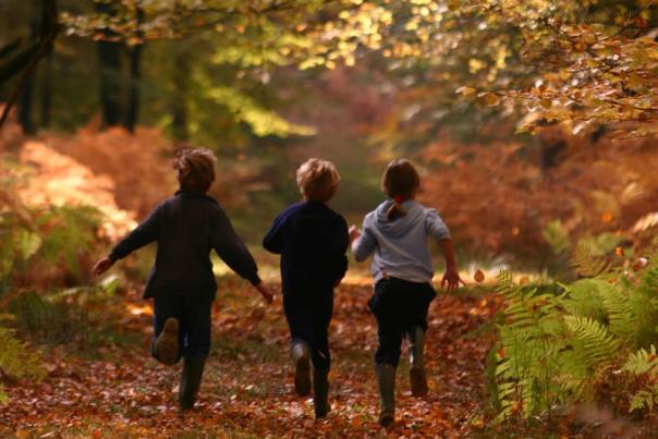 Top things to do this October half term