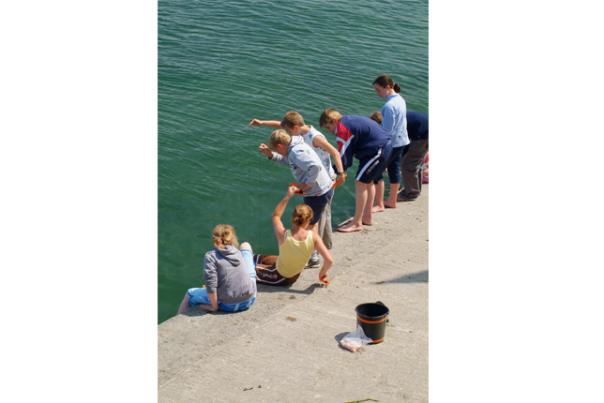 family crabbing in appledore