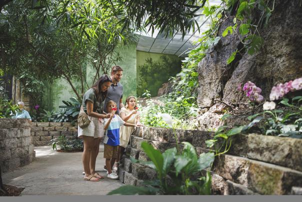 Butterfly Palace Spring Attraction Family