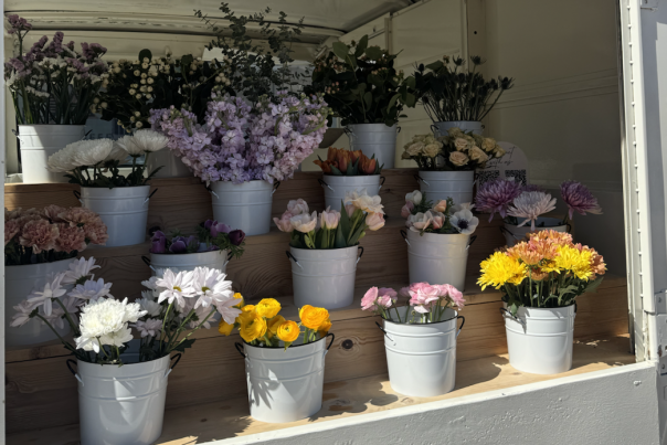 Flower Peddler