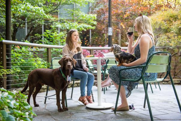 Dog Day Parkwoods Woman and Dogs dining at Crowne Plaza Ravinia