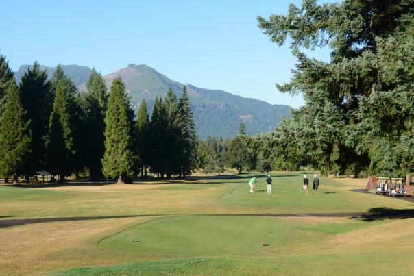 Tokatee Golf Club by Colin Morton