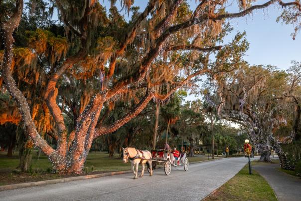 Holiday carriage rides on Jekyll Island