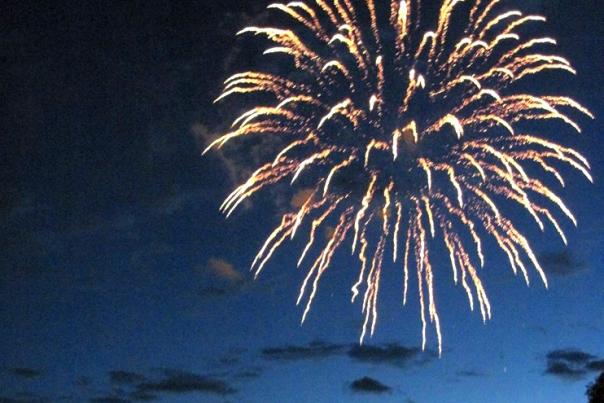 An image of fireworks over the lake.