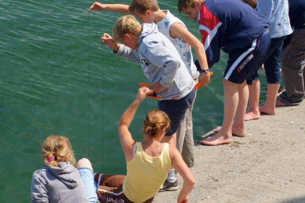 crabbing in appledore
