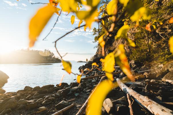 Smuggler Cove Marine Provincial Park