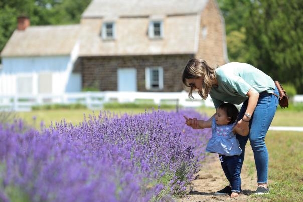 a mother and child in a lavendar field