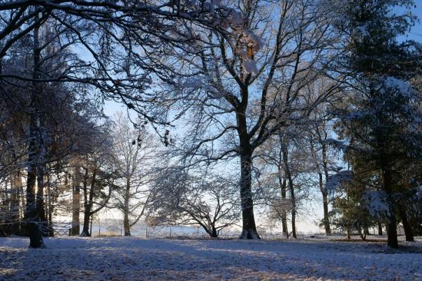 The sun setting through snow covered trees at Hidcote