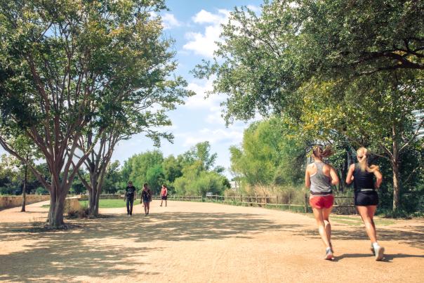 People running and walking along a wide, oak tree-shaded path of the Hike-and-Bike Trail