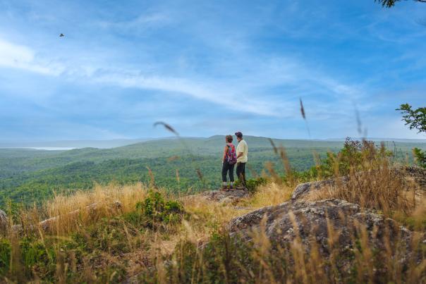 two people stand on a cliffside overlooking a great wooded landscape below