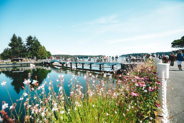 People walking on a bridge over water with pink flowers leading towards the bridge.