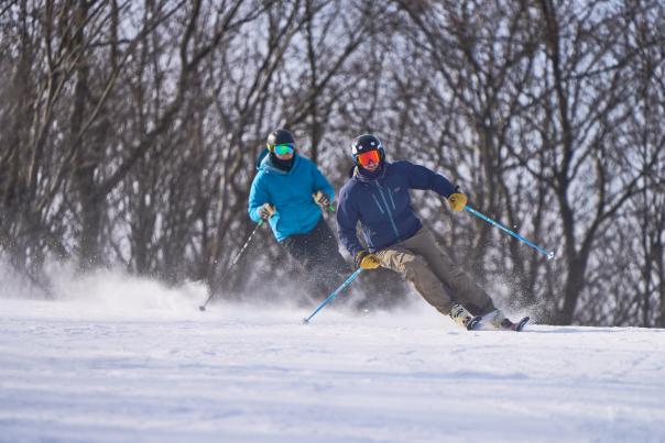 Two skiers going down a mountain