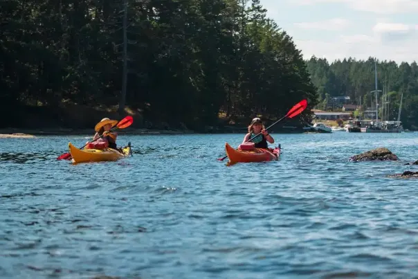 Two people kayaking on the waters.