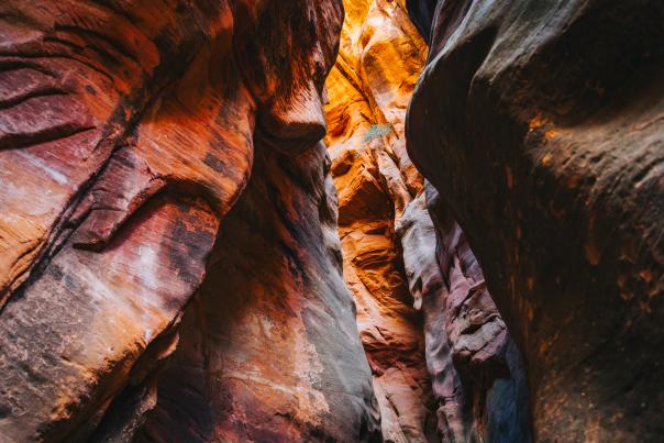 Narrow red rock slot canyon near Cedar City, Utah, with towering sandstone walls glowing in warm light from above