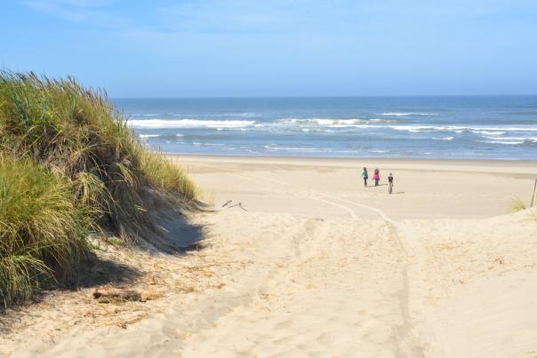 Three people walk on a sunny beach.