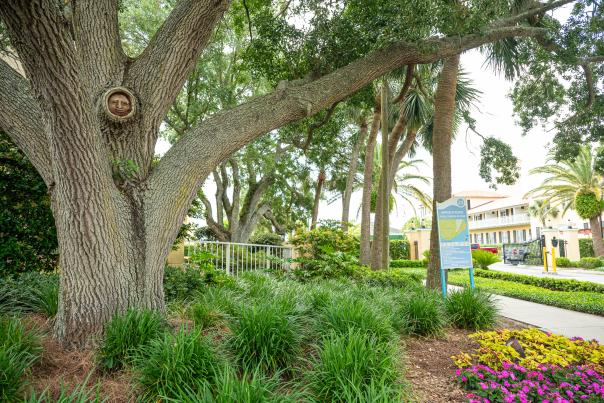 Tree Spirit on St. Simons Island