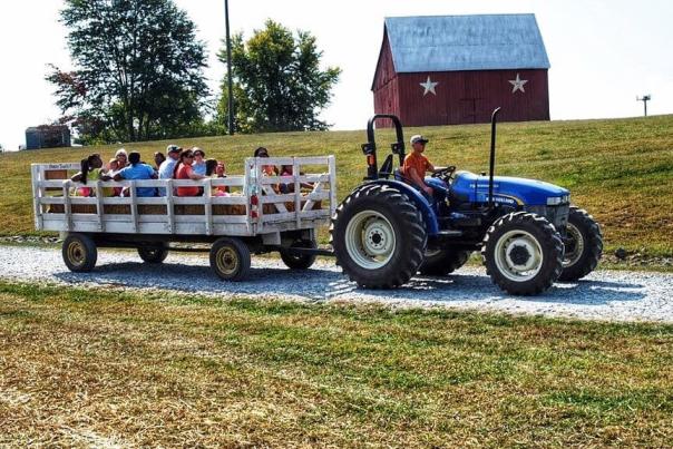 Tractor pulls people in a wagon an a farm