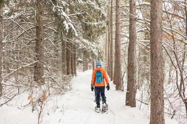 Snowshoeing at Lowes Creek County Park