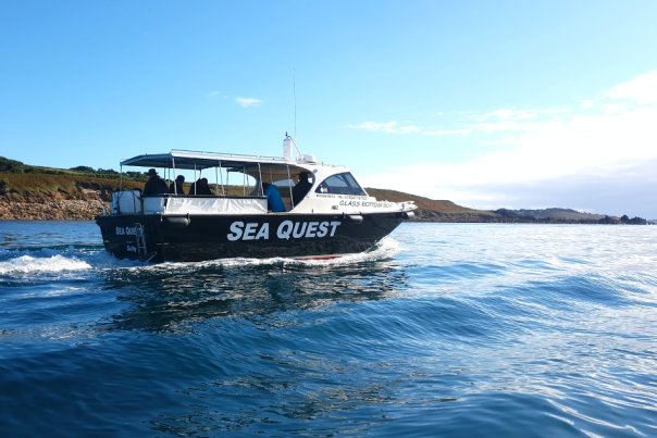 Tours & Sightseeing with Seaquest