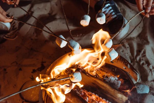 people roasting marshmallows over a campfire
