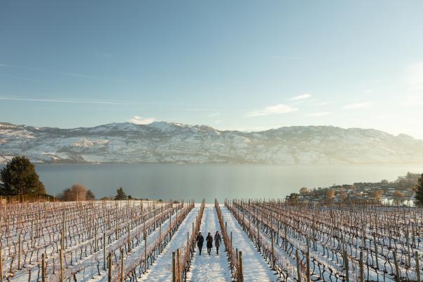 Quails' Gate Winery-Snowy Winter (11)