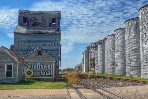 Sunflower Coal Mural by Michelle Marine