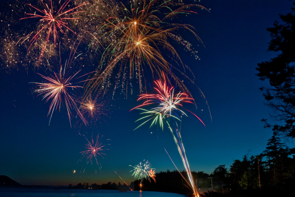 fireworks shoot over lake against dark blue sky with silhouetted trees in left of frame