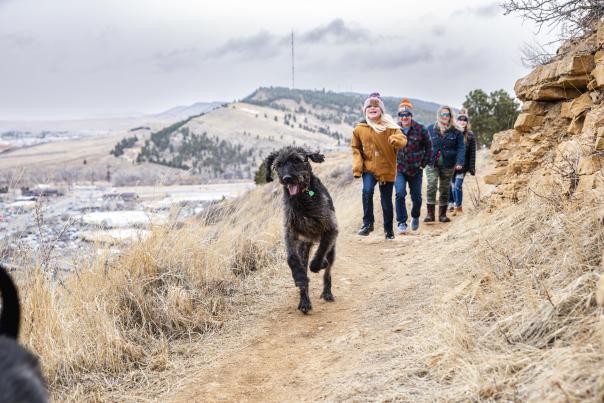family hiking the trails of skyline wilderness area with dogs