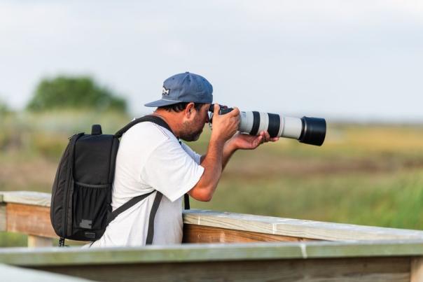 birding
