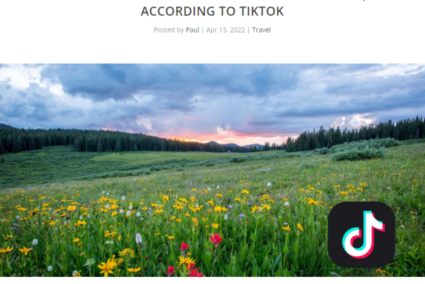 Tik Tok Article 2