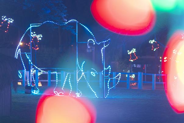 The Gift of Lights event at the Potawatomi Zoo