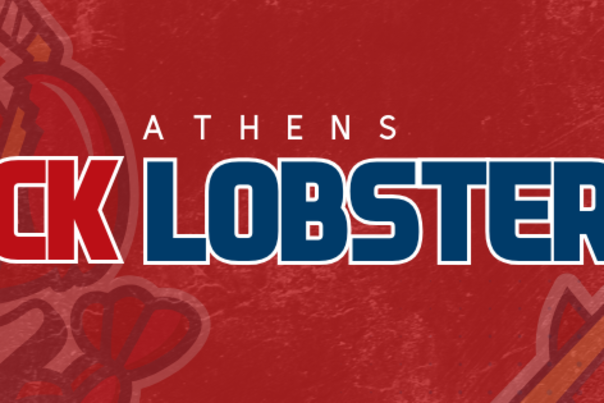 rock lobsters hockey banner