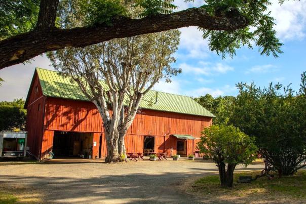 OakHillFarm_SonomaValley