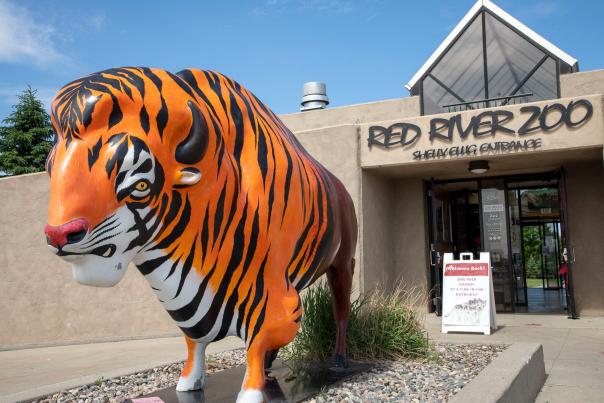 painted bison statue in front of zoo entrance