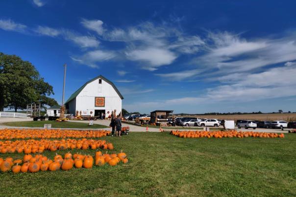 Sugar Grove Pumpkin Farm in Sugar Grove, Illinois
