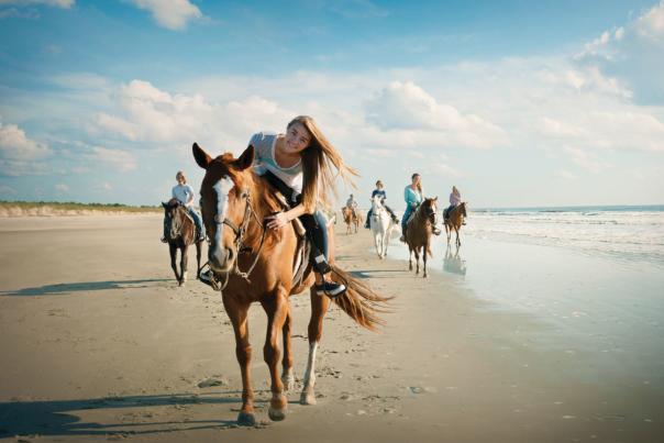 Horseback Riding on Waites Island