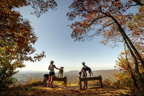Two people and two dogs looking out over Hungry Mother State Park