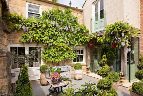 A cottage courtyard garden with wisteria growing up the house and topiary bushes dotted around the patio